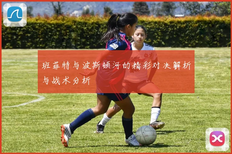 班菲特与波斯顿河的精彩对决解析与战术分析