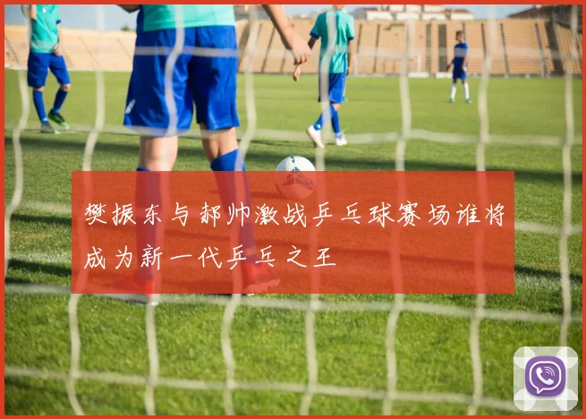 樊振东与郝帅激战乒乓球赛场谁将成为新一代乒乓之王