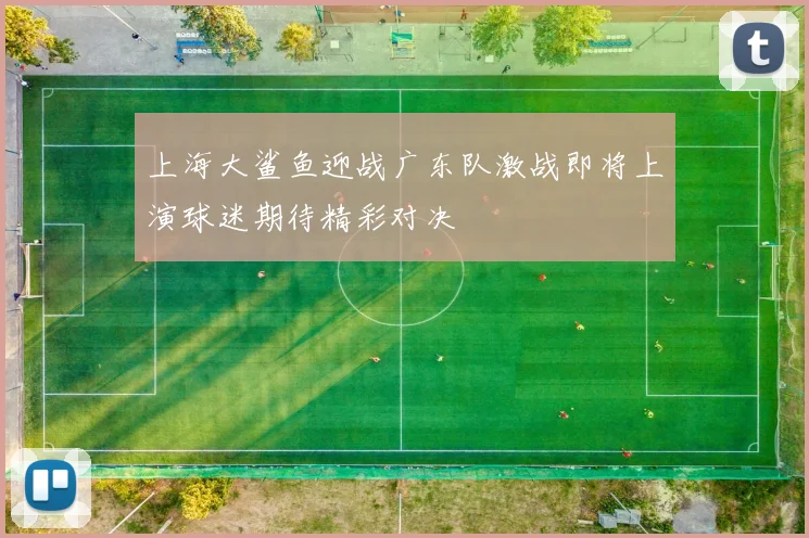 上海大鲨鱼迎战广东队激战即将上演球迷期待精彩对决