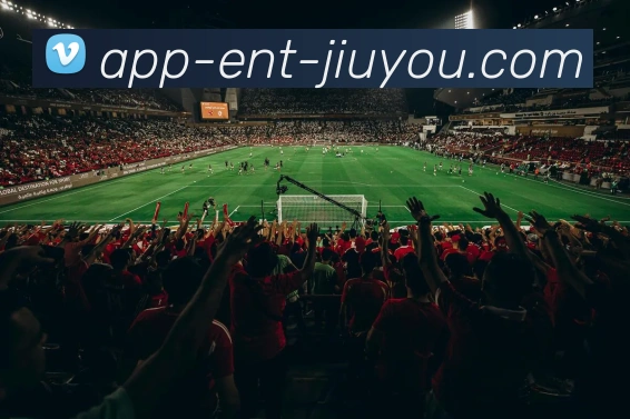 九游体育APP 高清赛事图